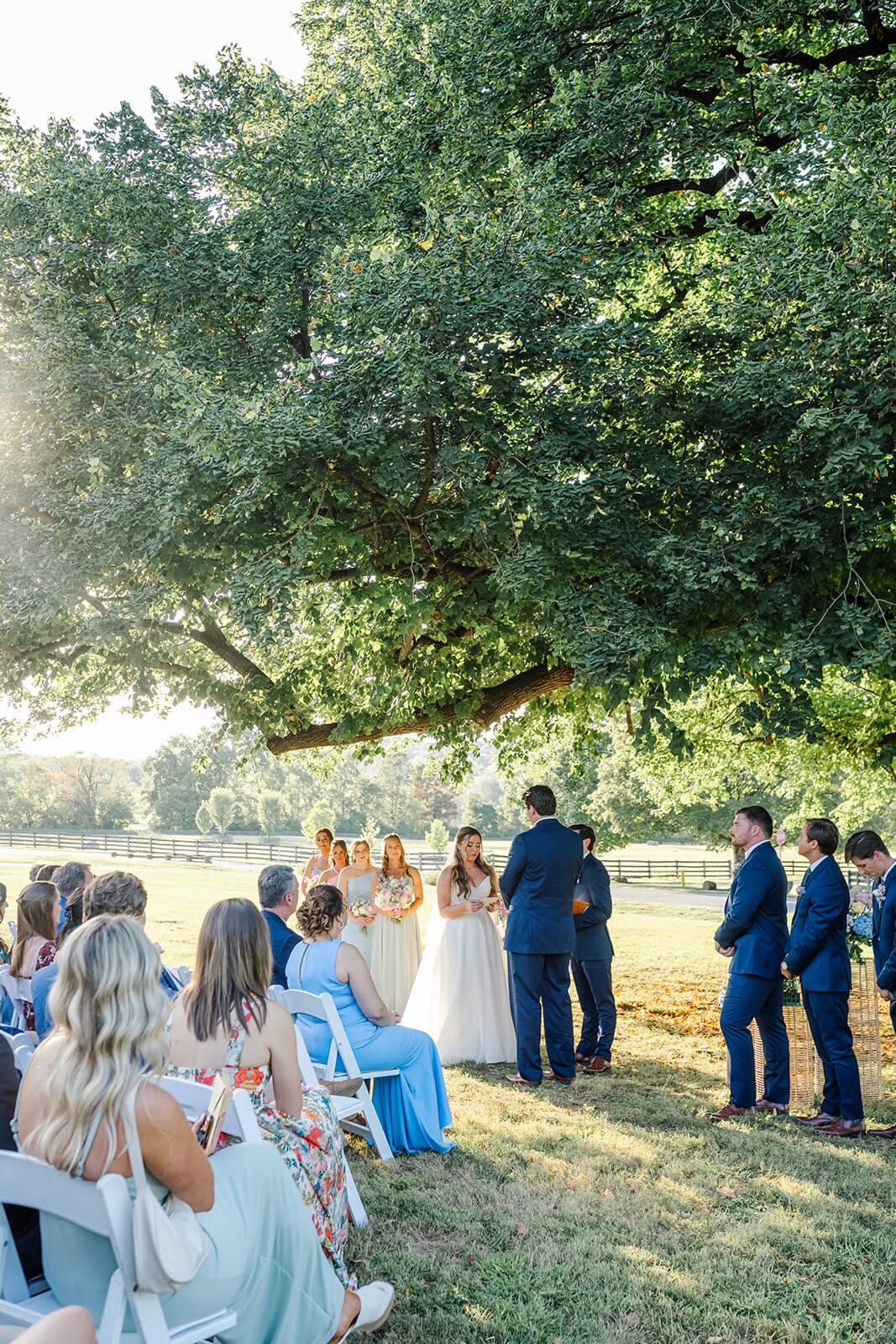 Bride and groom saying their vows under a large tree as guests watch