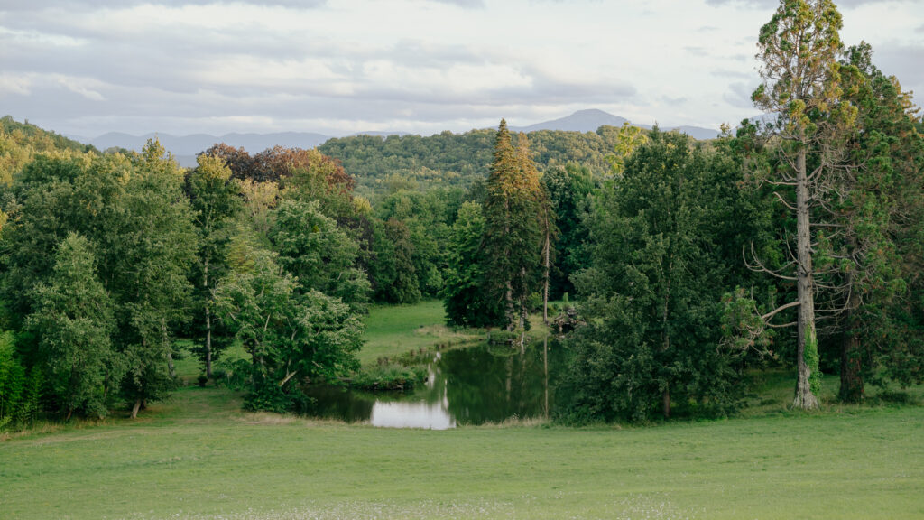 Verdant summer landscape at Château de Sibra