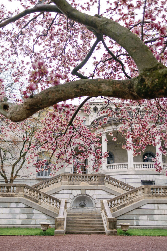 The exterior of Elkins Estate in April, framed by blooming cherry blossoms