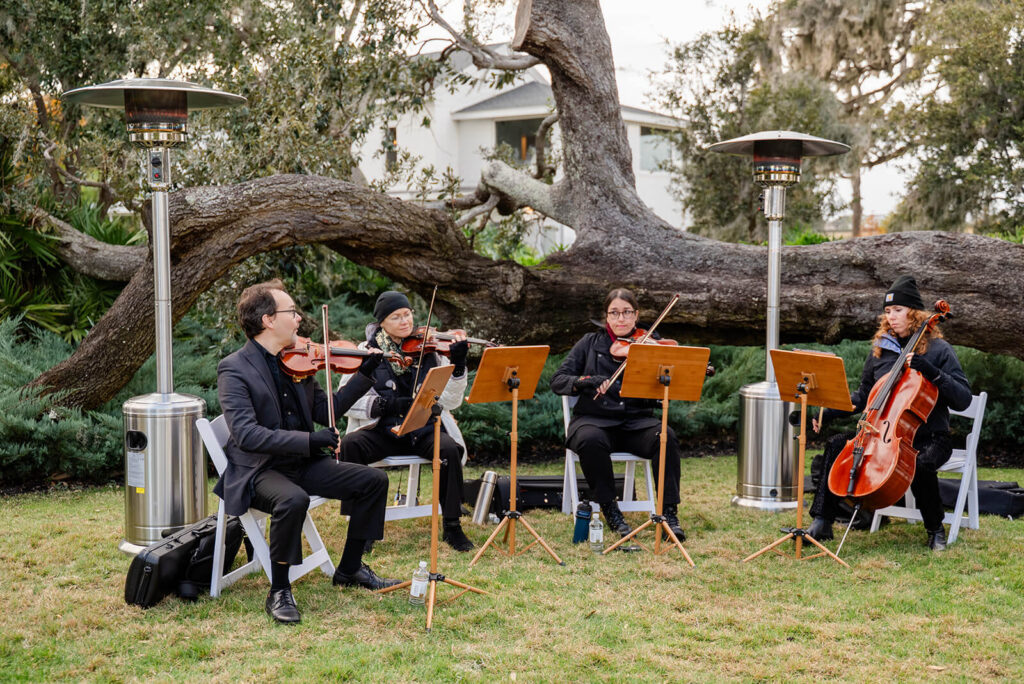 Wedding string quartet